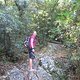 IMG 0515
