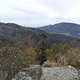 SDC18884 kl