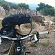 IMG 0257