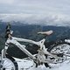 IMG 5024