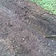 DSC00238