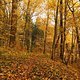 Herbst2K10Bild137