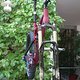 IMG 6067