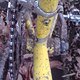 DSC00753