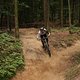 IMG 0127