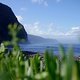 Steilküste, Felsstrand, grün. Das ist Madeira