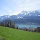 IMG 5818