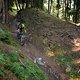 20160717-41L Goldsee Trail