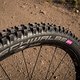 Specialized-6160010