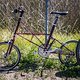Ein Moulton TSR: Kleine Laufräder, extravaganter Rahmen