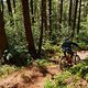 scott-sports-chasing-trail-brendan-fairclough-mtb-bike-actionimage-2020-042A6711-CREDIT-tomgphoto