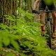 Foto Jens Staudt-Specialized Epic SWorks-Test-Review-8088