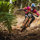 Laurie Greenland participates at Red Bull Hardline in Maydena Bike Park, Australia on February 24th, 2024. // Dan Griffiths / Red Bull Content Pool // SI202402240045 // Usage for editorial use only //