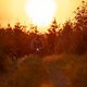 Sunset64 (MTB-News)