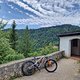 Testride Pivot Firebird
