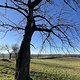 IMG 4540