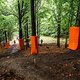 Immer wieder muss man nach Wald-Passagen kurze Wiesen-Sektionen queren, weshalb es auch darauf ankommen wird, möglichst viel Geschwindigkeit mit aus den Wald-Abschnitten zu nehmen.
