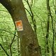 130509 Eltzbachtal08