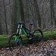 Canyon Torque DHX Whipzone