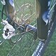 IMG 2487