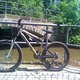 nicolai helius dh