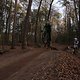 IMG 1936