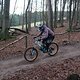 IMG 1307