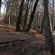 IMG 1742