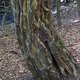 DSC02945