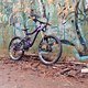 Knolly Delirium Gr. L - Purple (650B, 180/170mm)