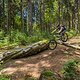 20230604-38L Liberec