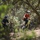 Vor allem sind wir die Trail-Bikes bergab gefahren, aber natürlich mussten die Modelle auch im Uphill zeigen, was in ihnen steckt.