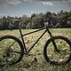 SingleBe - NoisyBee - Custom 29er