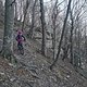 IMG 20241230 150843