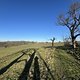 IMG 4537