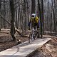 Bike Beerfelden P 221