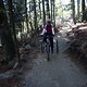 IMG 3336