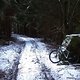 IMG1799