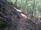 IMG-20110915-00050