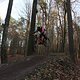 IMG 1993