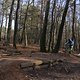 IMG 1757