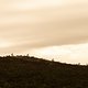 Sillhouette of riders on a ridge during stage 1 of the 2019 Absa Cape Epic Mountain Bike stage race held from Hermanus High School in Hermanus, South Africa on the 18th March 2019.

Photo by Xavier Briel/Cape Epic

PLEASE ENSURE THE APPROPRIATE C