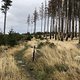 IMG 7998