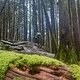 BC Squamish - Rupert