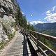 IMG 3040