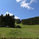 IMG 9773