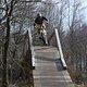 IMG 7250