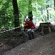 IMG 5223