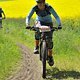 IMG 780