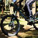 Biking is awesome